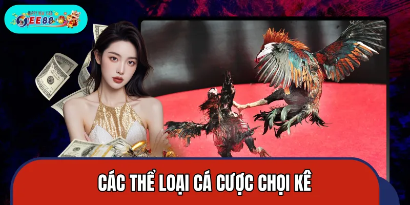 Top 4 loại hình chọi kê đang có nhiều người tham gia nhất