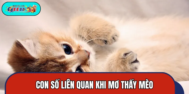 Từng trường hợp chiêm bao về mèo và số may mắn