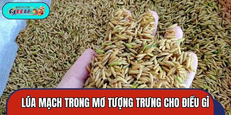 Lúa mạch ẩn chứa thông điệp về thịnh vượng